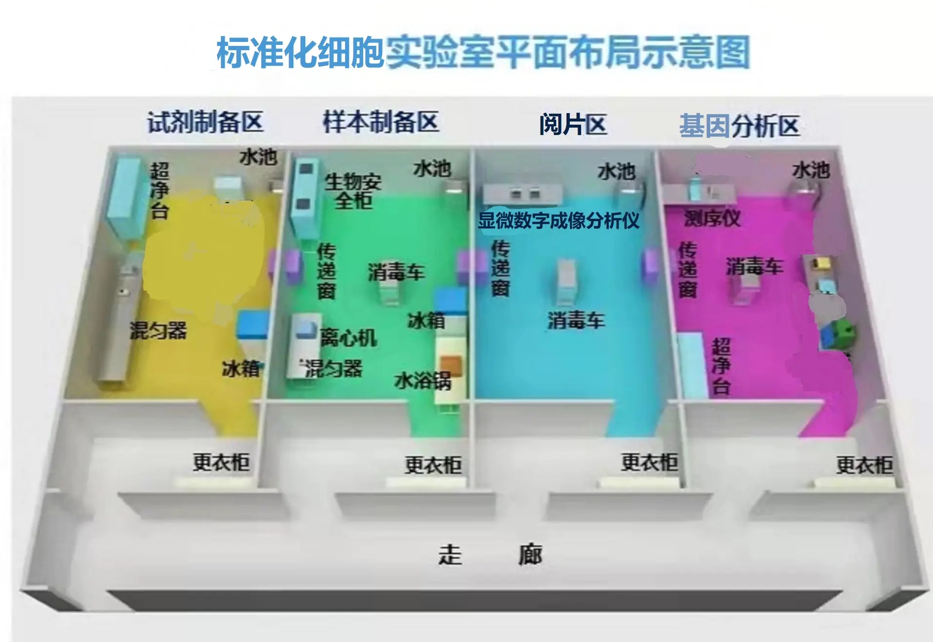 临床医学干细胞实验室设计规范