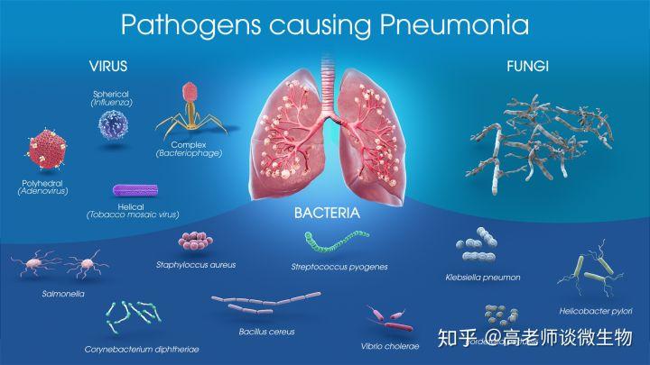 微生物实验室平面布局与等级划分