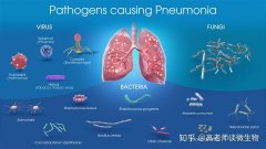 PCR实验室施工规范