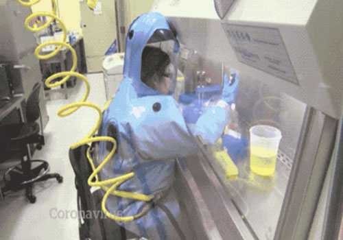 生物安全实验室图6