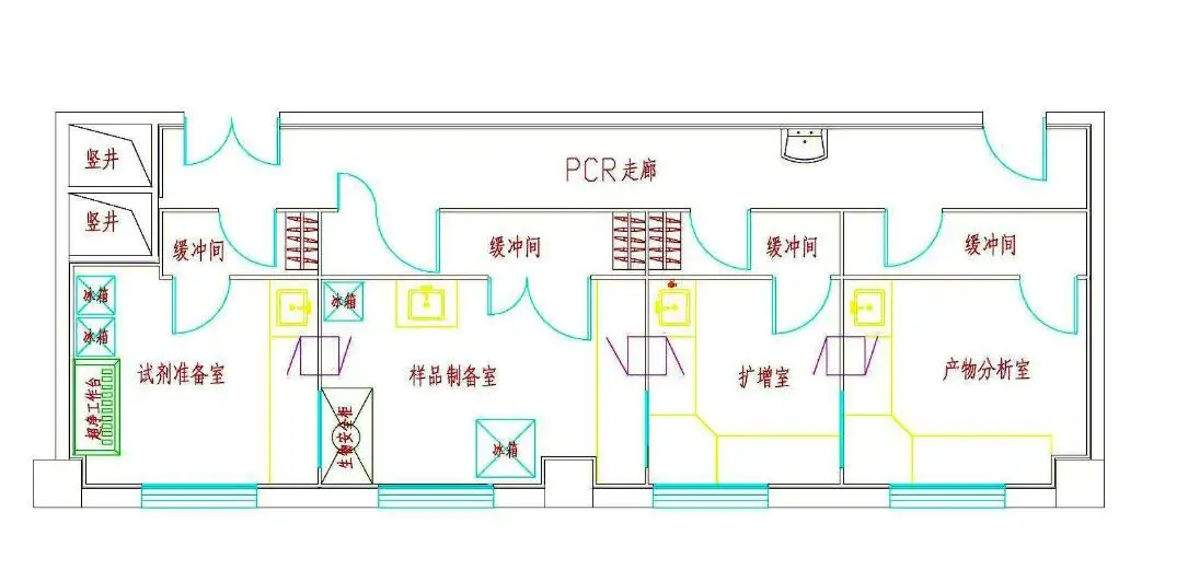 pcr实验室功能区布局