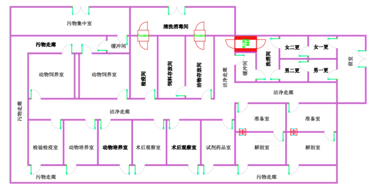 动物实验室平面布局图