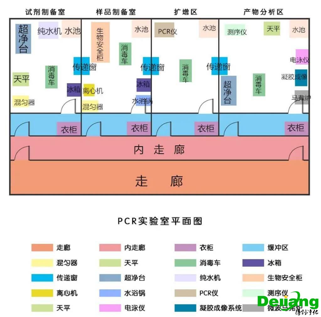 PCR实验室效果图