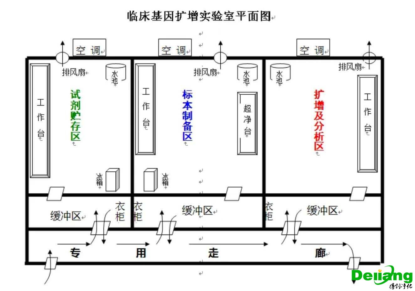 PCR实验室总体平面布局