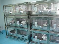 SPF动物实验室施工要点