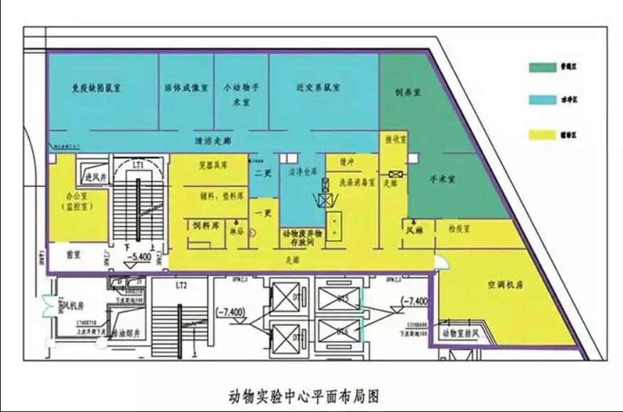 动物实验室效果图