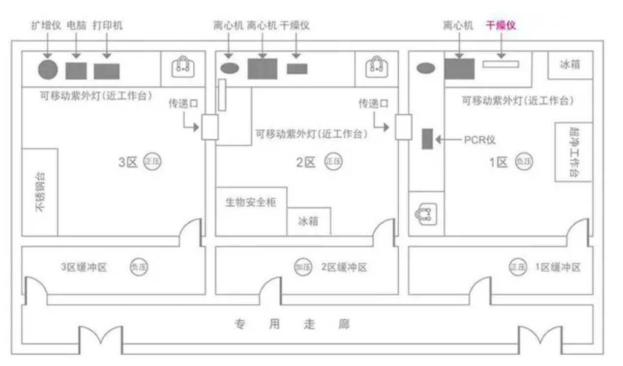 PCR实验室效果图