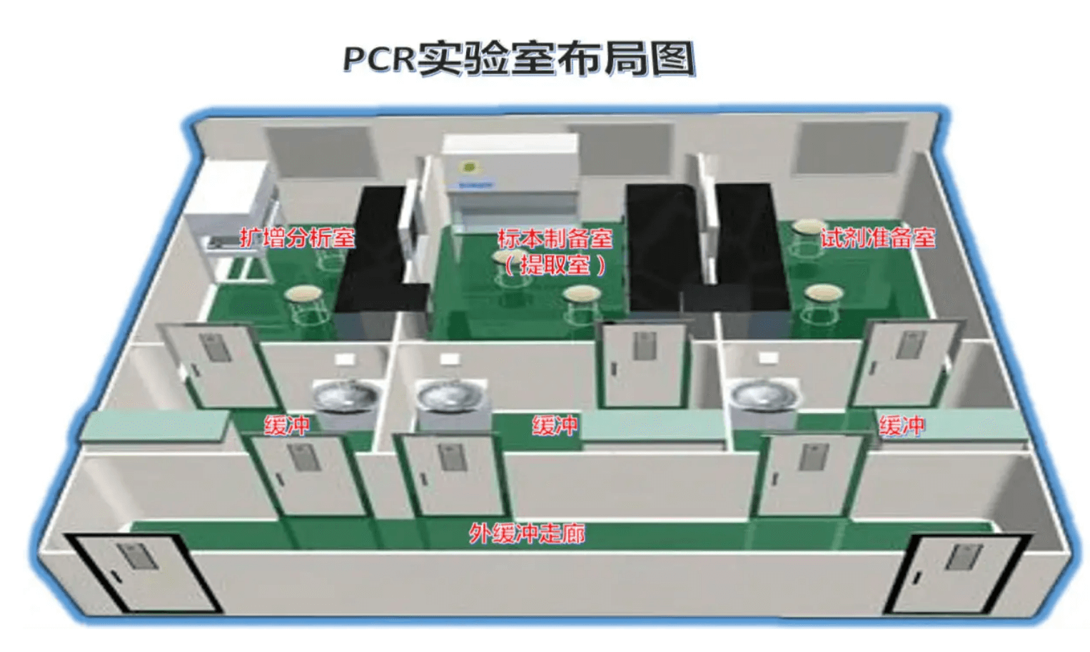 PCR实验室效果图