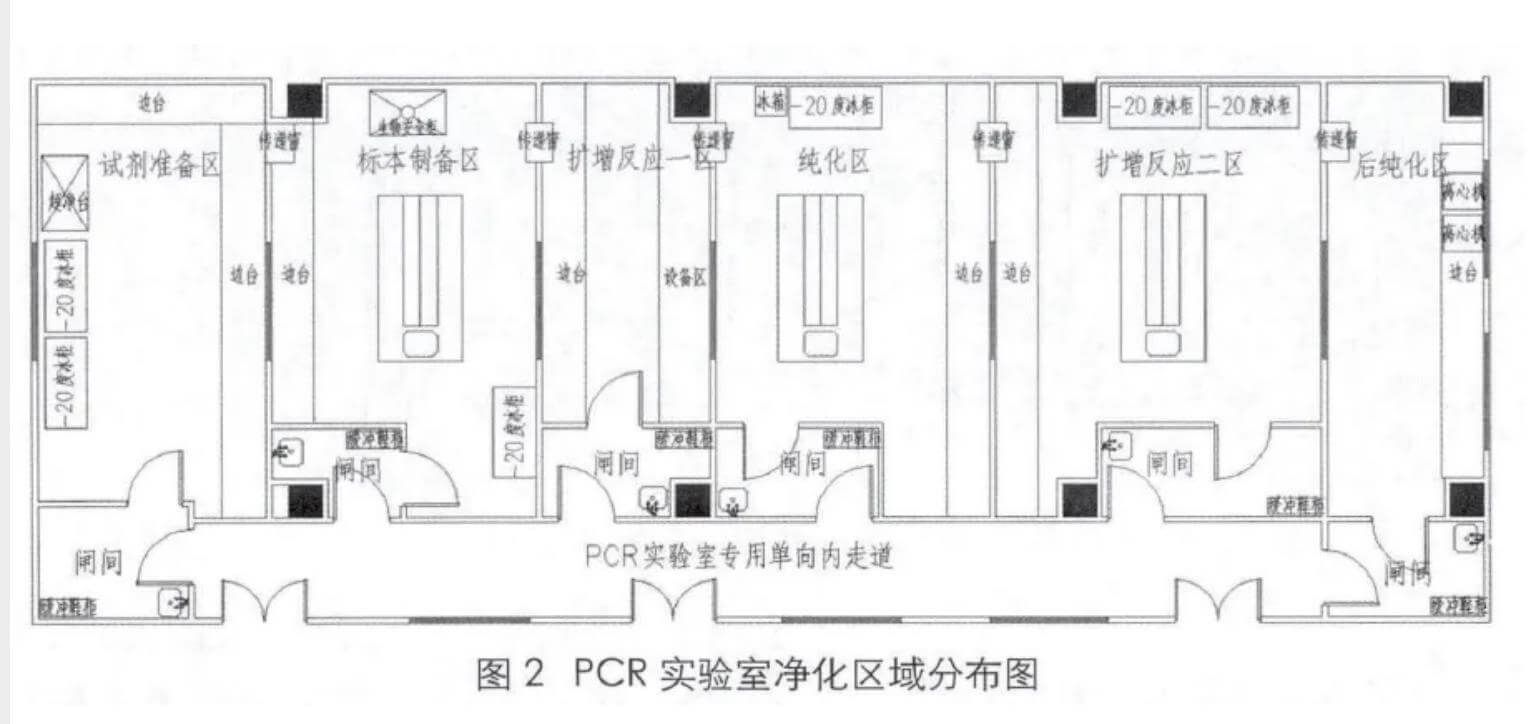 PCR实验室效果图