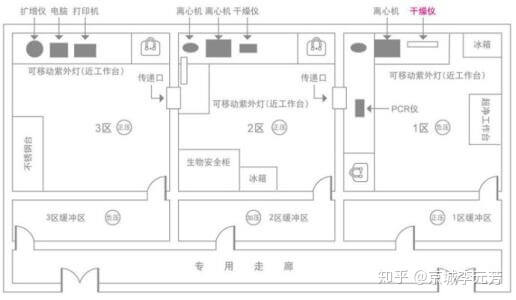 PCR实验室平面图