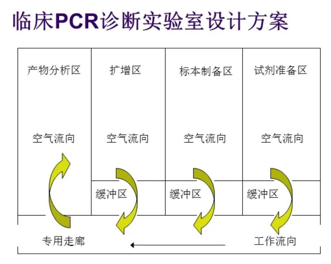 PCR实验室效果图