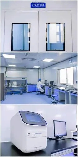 洁净洁净实验室安装效果图