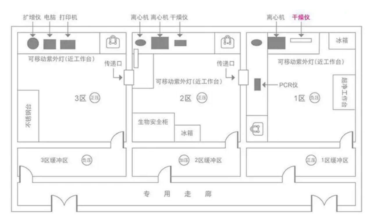 实验室效果图