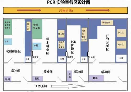 PCR实验室效果图 PCR实验室效果图