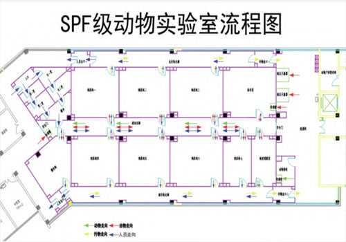 BSL-3生物安全实验室6.jpg