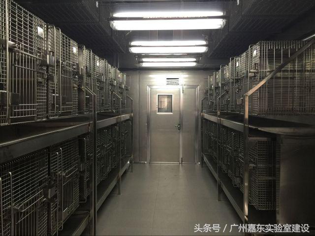实验室装备