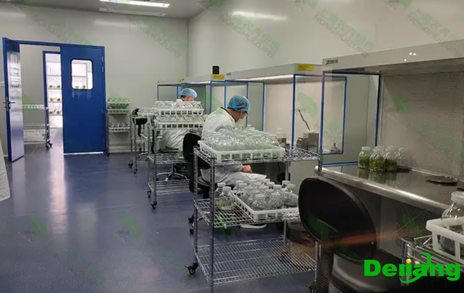 植物培养实验室设计要求