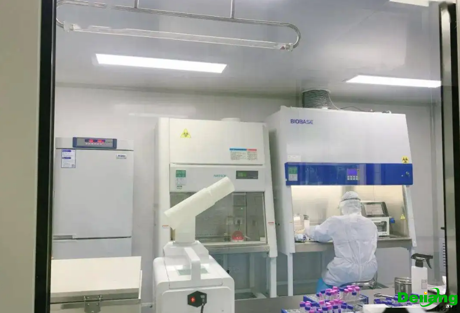 微生物实验室效果图