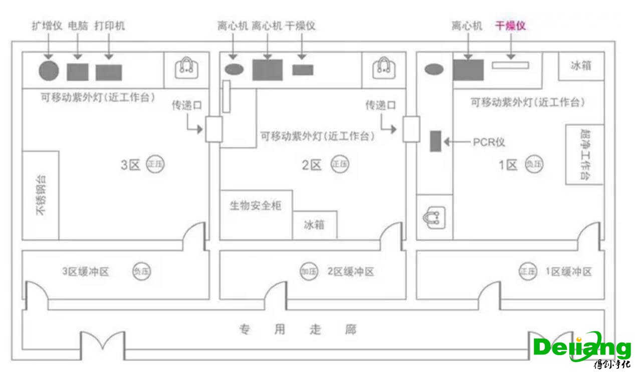PCR实验室平面布局