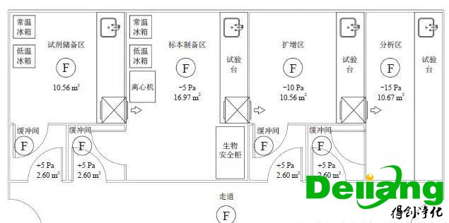 PCR实验室平面图